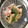 しおちゃん9's cooksnap of when they made 新玉で！アスパラと玉ねぎのたらこ和え.