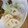 nekotoshi's cooksnap of when they made 作り置きレシピ✾キャベツと蓮根のマリネ.
