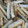 エクボ王子's cooksnap of when they made ごぼうのうまうまネギ塩炒め.