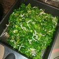 きよえもんさん's cooksnap of when they made お粥のお共☆大根菜としらすの胡麻油炒め.