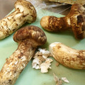 chou*'s cooksnap of when they made 秋の味覚の王様◇基本の松茸の下処理①.