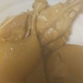 珠玉猫's cooksnap of when they made 手羽元と大根の酢醤油煮.