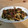 shun_2017's cooksnap of when they made クリタケ（栗茸）と乾燥ワカメの焼きキノコ.