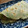 くりたま's cooksnap of when they made ばぁちゃん☆ネギ焼き.