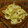 ♡sayulily♡'s cooksnap of when they made 【和え物】ちくわとキャベツのマヨカレー.