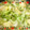 Emiii28's cooksnap of when they made じゃがいもとキャベツのバタマヨ炒め.
