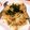lts721's cooksnap of when they made 簡単楽々！麺つゆで絶品和風パスタ♪.