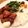 Mizzelle's cooksnap of when they made 鶏むね肉でもやわらか簡単から揚げ.