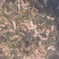 クック57VZDE☆'s cooksnap of when they made 大根の葉で！煮びたし♪.