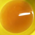 えむまる✩'s cooksnap of when they made 鈴木家のかつお昆布だし.