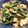 i☆can's cooksnap of when they made 小松菜の玉子炒め.