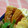 ゆうかりコアラ's cooksnap of when they made ☆懐かしのちくわ炒め☆.