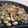 ヤス＠しゃぃ嫁's cooksnap of when they made せんぎり大根（切り干し大根）の煮物.