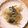 よつば1201's cooksnap of when they made 牛ごぼう白滝たっぷりプラス♪.