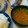 まみお✳'s cooksnap of when they made こく旨☆モヤシと挽き肉のお味噌汁.
