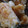 h♪♪'s cooksnap of when they made いちばん簡単！鮭のフライ.
