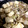 LINDA★8's cooksnap of when they made 豚肉で☆すき焼き風煮.