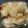 ｺーｼﾞ's cooksnap of when they made ほっかほか☆クリーミー粕汁.