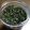 あきぽん♪'s cooksnap of when they made かぶの葉　大根の葉　保存.