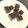 ボボモン's cooksnap of when they made ココアでヘルシー生チョコ.