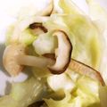 クックモランド's cooksnap of when they made ご飯がススム♪キャベツとキノコの中華炒め.