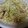ノッチん's cooksnap of when they made キャベツとえのきとツナの炒めあえ.