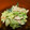 hisakook's cooksnap of when they made 箸が止まらない！キャベツとササミの梅マヨ.