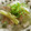 ☆Rokko☆'s cooksnap of when they made スープが旨い！！魚のあらの昆布茶煮.