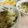 ☆Rokko☆'s cooksnap of when they made 簡単な「里芋ご飯」！.