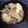 ほもい's cooksnap of when they made 里芋とこんにゃくの煮物.