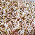 nikkijamie's cooksnap of when they made お家でモヤシ栽培.