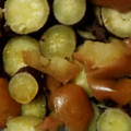 コメコチョコ's cooksnap of when they made 【炊飯器調理】さつま芋のはちみつ煮.