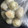 ciomam's cooksnap of when they made 里芋の冷凍保存方法.