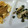 堕天使M's cooksnap of when they made 超簡単☆大根の葉の炒め物.