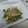 フジタカズオ's cooksnap of when they made ❤もやしとキノコのオイスターソース炒め❤.