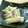 mayuyuキッチン's cooksnap of when they made ネギ一杯蒸し鱈.