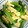 pucyipan's cooksnap of when they made 薄揚げと小松菜のさっと煮.