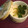 ななこ２２'s cooksnap of when they made 簡単＊茶碗蒸し.