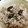 ともちゃんと３匹の猫's cooksnap of when they made 甘さが引き立つ、丹波黒枝豆ごはん！.