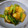 まほじょ's cooksnap of when they made ５分で簡単！蕪の中華和え.