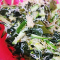 るてぃす's cooksnap of when they made アルファルファの黒酢ダイエットサラダ.