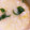 クックPIHA91☆'s cooksnap of when they made 中華風たまご粥 簡単なのに美味い！ お粥.