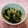 ジョリポン's cooksnap of when they made レンジで簡単！ほうれん草と榎茸のごま和え.