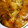 たぬきちクッキング's cooksnap of when they made 梨とさつまいものケーキ。.