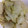クックPX4GUB☆'s cooksnap of when they made 白菜とかつお節の煮物.