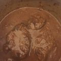 sumzumi's cooksnap of when they made 【圧力鍋で】牛すね肉の赤ワイン煮.