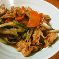 低カロ探検隊's cooksnap of when they made 【農家のレシピ】豚肉と長ねぎの炒め煮.