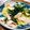 sbx2tm3's cooksnap of when they made ☆大根の葉で節約簡単パスタ☆.