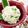 makichihua's cooksnap of when they made satoimoサラダ.
