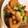 クックMHPQWP☆'s cooksnap of when they made 大根と手羽先のゆずポン酢さっぱり煮.